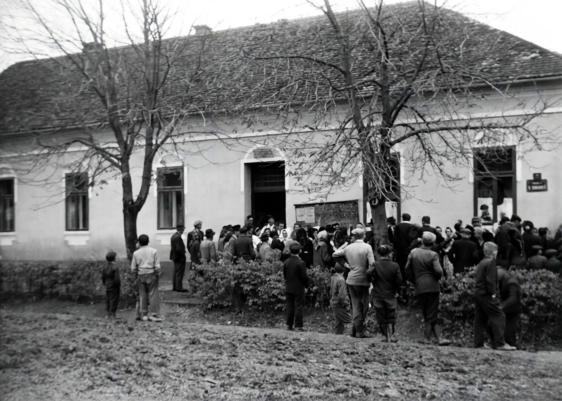 Mato Marošević - svatovi